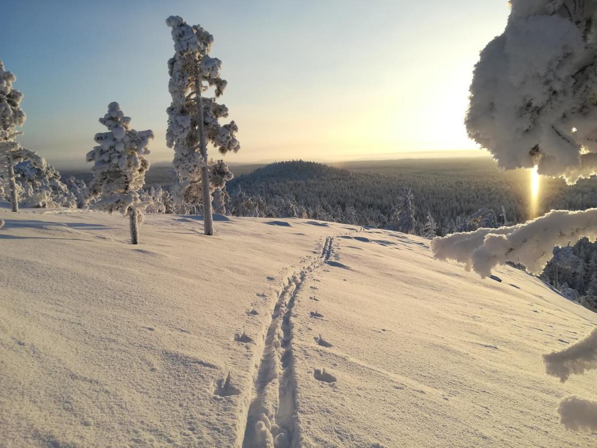 Raekkipirtti Villa Luosto Eksteriør bilde